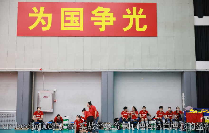 实战经验分享：博狗体育博彩的盈利之道
