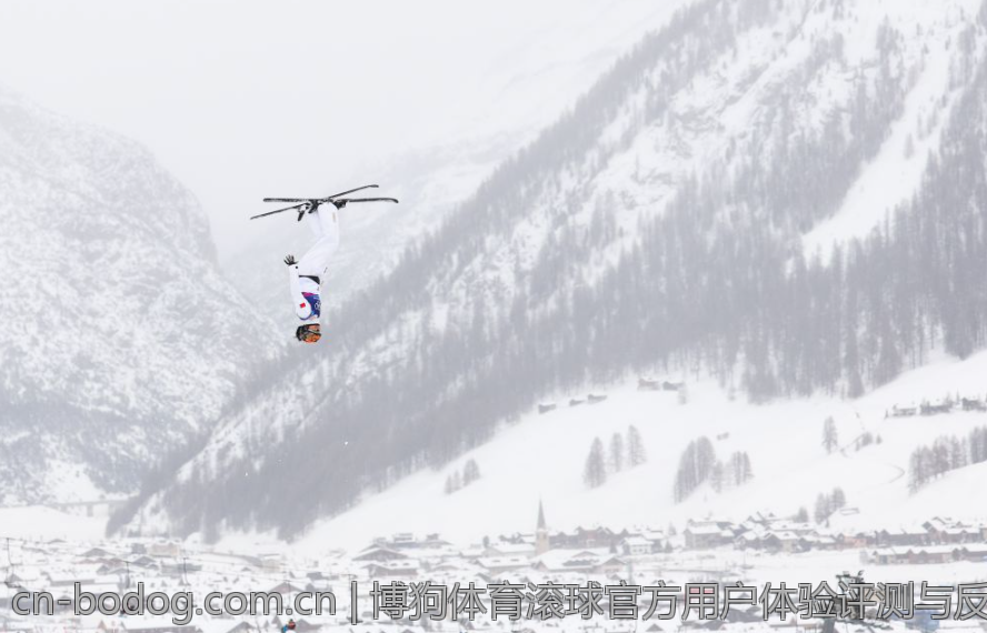 博狗体育滚球官方用户体验评测与反馈