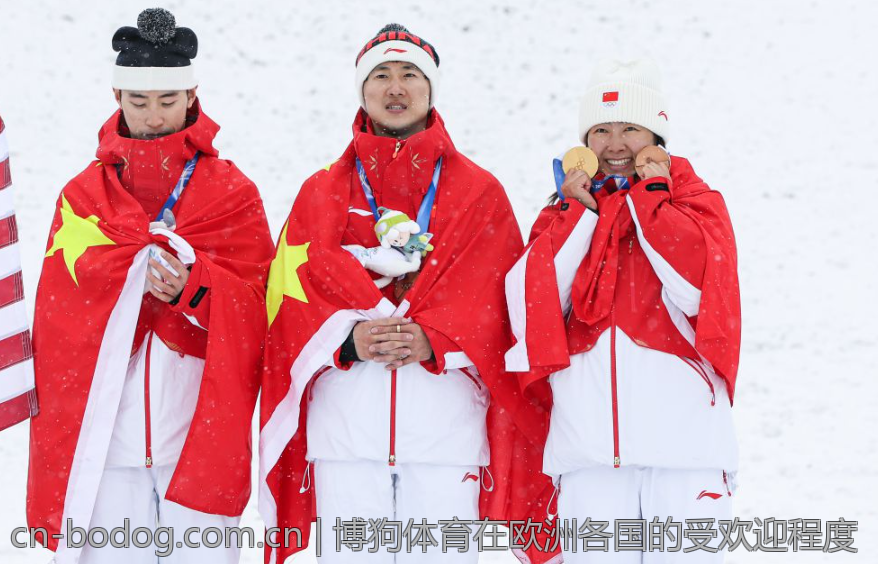博狗体育在欧洲各国的受欢迎程度